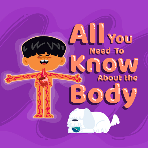 All You Need to Know About the Body